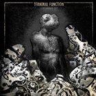 TERMINAL FUNCTION — Clockwork Sky album cover