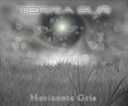 TERRA SUR Horizonte Gris album cover