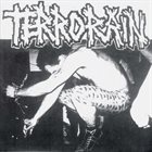 TERRORAIN Terminal Crazy album cover