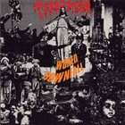 TERRORIZER — World Downfall album cover