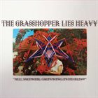 THE GRASSHOPPER LIES HEAVY All Sadness, Grinning Into Flow album cover