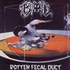 THE GUNS Rotten Fecal Duct album cover
