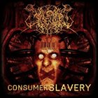 ШУМОВАЯ ЭКЗЕКУЦИЯ Consumer Slavery album cover