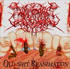 ШУМОВАЯ ЭКЗЕКУЦИЯ Old Shit Reanimation album cover