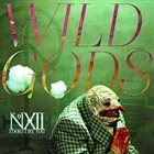 THE NUMBER TWELVE LOOKS LIKE YOU Wild Gods album cover