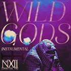 THE NUMBER TWELVE LOOKS LIKE YOU Wild Gods (Instrumental) album cover