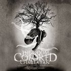 THE ROOM COLORED CHARLATAN The Veil That Conceals album cover