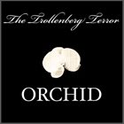 THE TROLLENBERG TERROR Orchid album cover