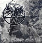 THE TRUE ENDLESS The Forest like Us / On the Path in the Night album cover