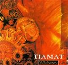 TIAMAT Wildhoney / Gaia album cover