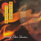 TOKYO BLADE Burning Down Paradise album cover
