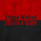 TRIPPY WICKED & THE COSMIC CHILDREN OF THE KNIGHT Stakes N Scale album cover