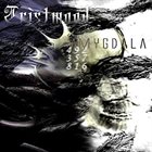 TRISTWOOD Amygdala album cover