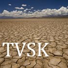 TVSK From The Ashes album cover