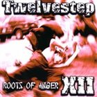 TWELVESTEP Roots of Anger album cover