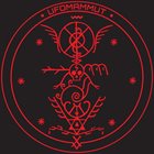 UFOMAMMUT XV: Magickal Mastery Live album cover