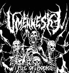 UMENNESKE — Pile of Bodies album cover