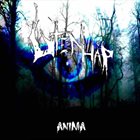 UTEN HÅP Anima album cover