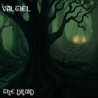 VALTIEL (AK) The Druid album cover