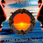 VARIOUS ARTISTS (TRIBUTE ALBUMS) Voices - A Tribute to Dream Theater album cover