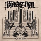 VASTUM Carnal Law album cover
