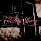 VEILED IN SCARLET Idealism album cover