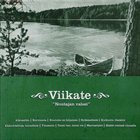 VIIKATE Noutajan valssi album cover