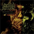 VISCERAL BLEEDING Absorbing the Disarray album cover