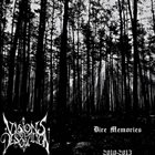 VISIONS OF DESOLATION Dire Memories 2010​-​2013 album cover