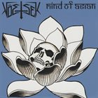 VÖETSEK Vöetsek / Mind Of Asian album cover