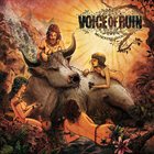 VOICE OF RUIN Morning Wood album cover