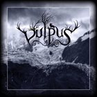 VULPUS Vulpus album cover