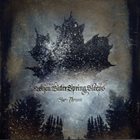 WHEN BITTER SPRING SLEEPS Star-Thrown album cover