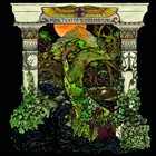WINO — Punctuated Equilibrium album cover