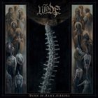 WODE Burn In Many Mirrors album cover