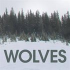 WOLVES Dying album cover