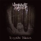 WOODS OF INFINITY Hopplös väntan album cover