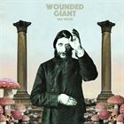 WOUNDED GIANT Vae Victis album cover