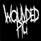 WOUNDED PIG CRUST! Vol. 1 Live from the Eastside album cover