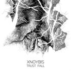 XNOYBIS Trust Fall album cover