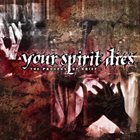 YOUR SPIRIT DIES The Process Of Grief album cover