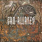 ZAO Awake? album cover