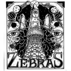 ZEBRAS 2014 Demos album cover