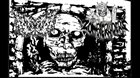 ZOMBIE RAIDERS Zombie Raiders / K9 Hemorrhoids album cover