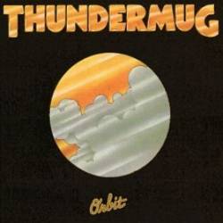 THUNDERMUG - Orbit cover 