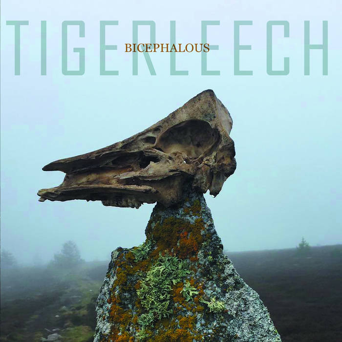 TIGERLEECH - Bicephalous cover 