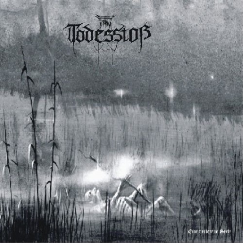 TODESSTOß - Eine verlorene Seele cover 