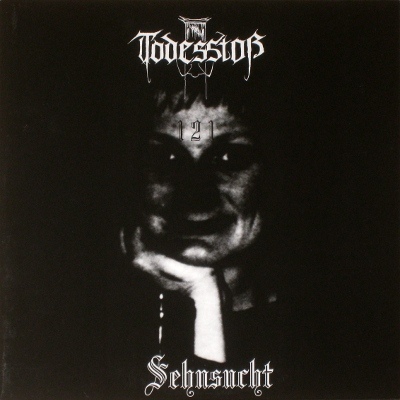 TODESSTOß - Sehnsucht / Beutetrieb Schwarzer Witwen cover 