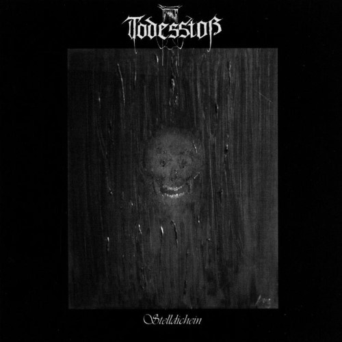 TODESSTOß - Stelldichein cover 