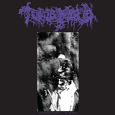TOMB MOLD - The Bottomless Perdition / The Moulting cover 